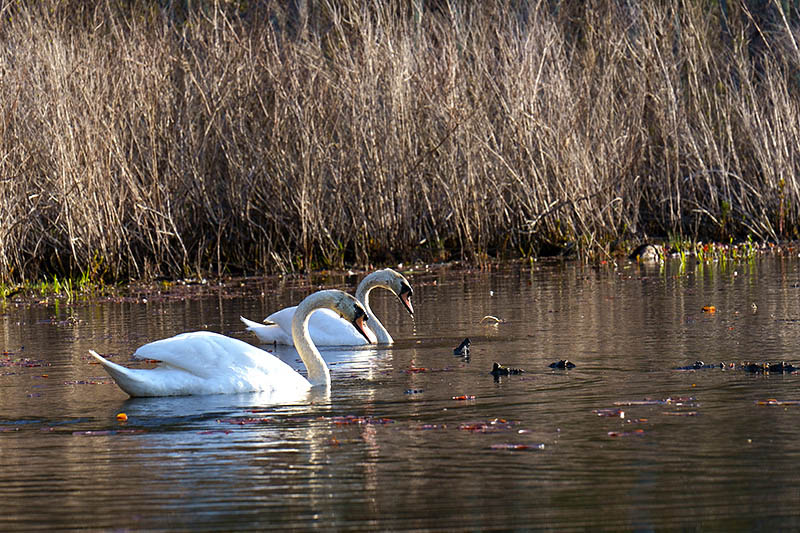 Timeprints Nature Photography