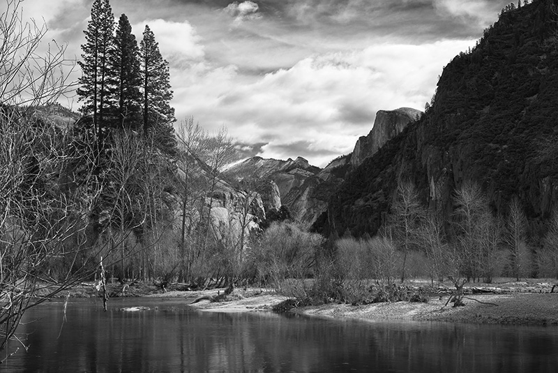 Timeprints Nature Photography
