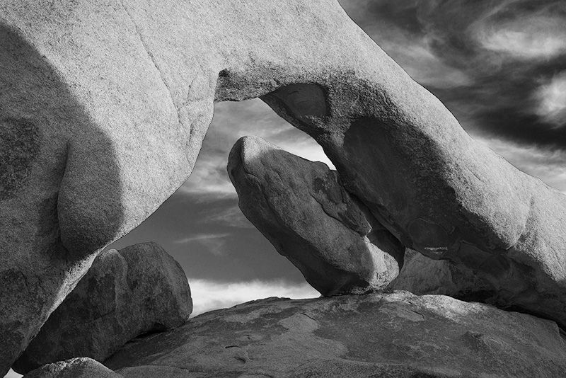 Timeprints Nature Photography