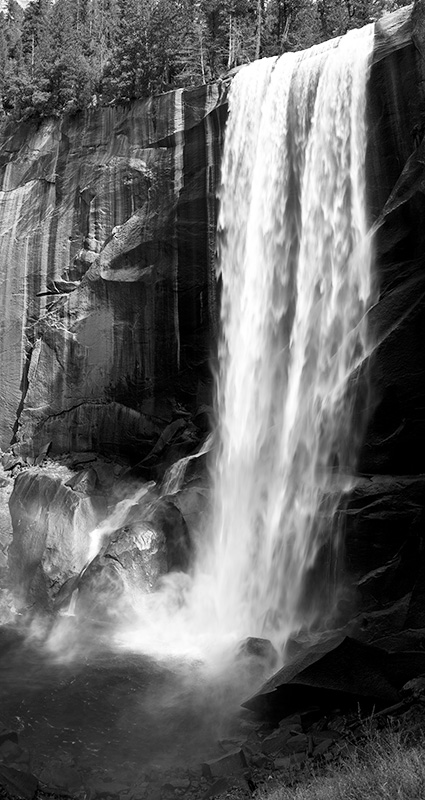 Timeprints Nature Photography