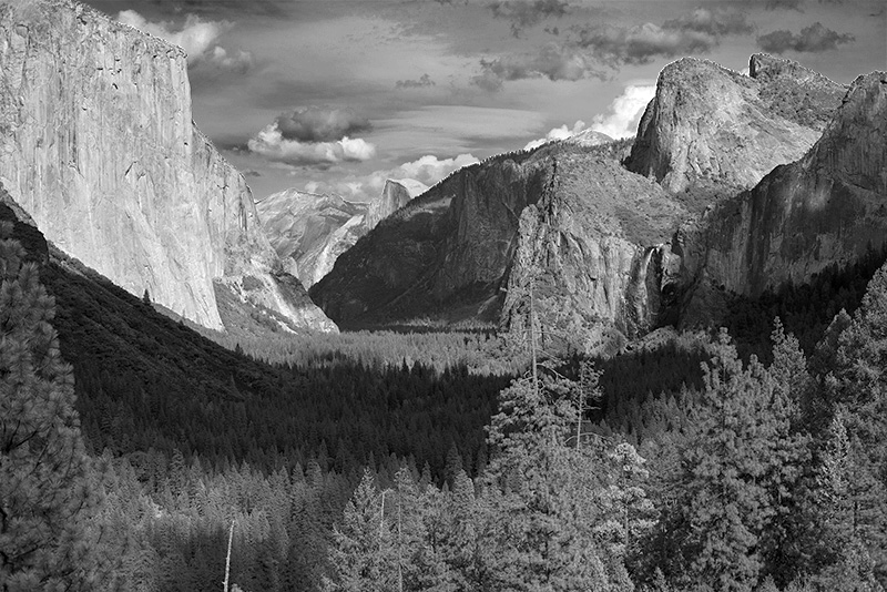 Timeprints Nature Photography
