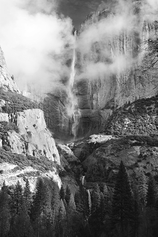 Timeprints Nature Photography
