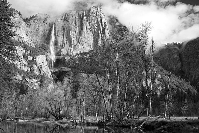 Timeprints Nature Photography