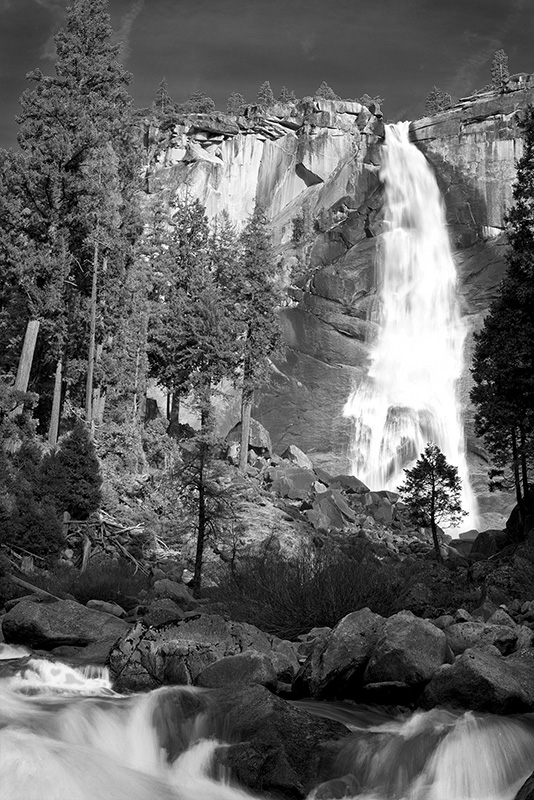 Timeprints Nature Photography